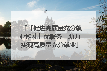 「促进高质量充分就业巡礼」优服务，助力实现高质量充分就业