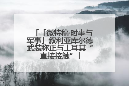 「微特稿·时事与军事」叙利亚库尔德武装称正与土耳其“直接接触”