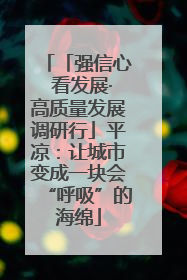 「强信心 看发展·高质量发展调研行」平凉：让城市变成一块会“呼吸”的海绵
