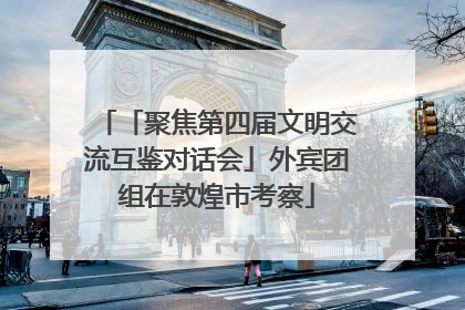 「聚焦第四届文明交流互鉴对话会」外宾团组在敦煌市考察