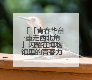 「青春华章·重走西北角」闪耀在博物馆里的青春力量