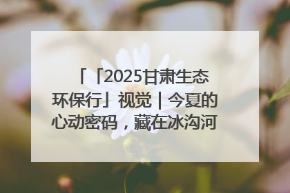 「2025甘肃生态环保行」视觉｜今夏的心动密码，藏在冰沟河的潋滟波光里