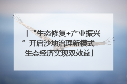 “生态修复+产业振兴”开启沙地治理新模式 生态经济实现双效益