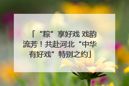 “粽”享好戏 戏韵流芳！共赴河北“中华有好戏”特别之约