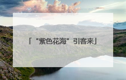 “紫色花海”引客来