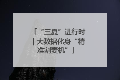 “三夏”进行时｜大数据化身“精准割麦机”