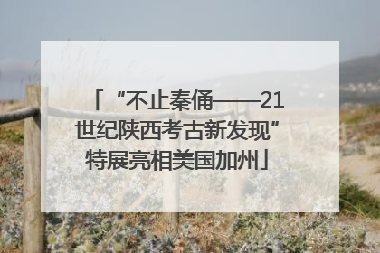 “不止秦俑——21世纪陕西考古新发现”特展亮相美国加州