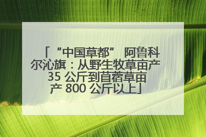 “中国草都” 阿鲁科尔沁旗：从野生牧草亩产 35 公斤到苜蓿草亩产 800 公斤以上