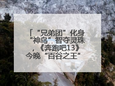 “兄弟团”化身“神鸟”智夺灵珠，《奔跑吧13》今晚“百谷之王”花落谁家？