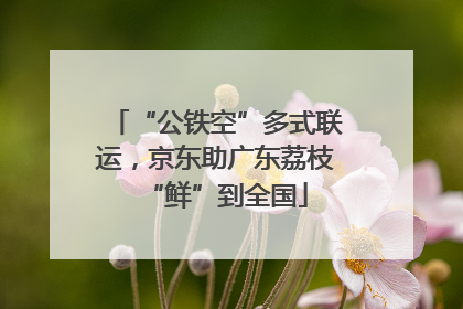 “公铁空”多式联运，京东助广东荔枝“鲜”到全国