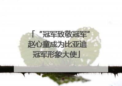 “冠军致敬冠军” 赵心童成为比亚迪冠军形象大使