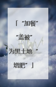 “加餐”“盖被” 为黑土地“增肥”
