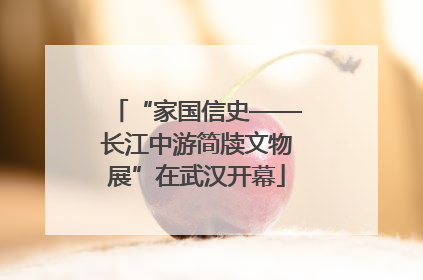 “家国信史——长江中游简牍文物展”在武汉开幕