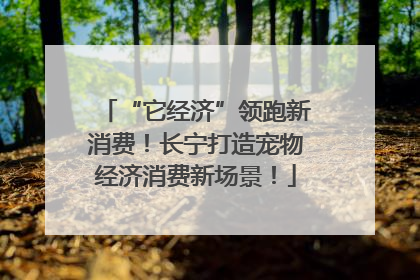 “它经济”领跑新消费！长宁打造宠物经济消费新场景！