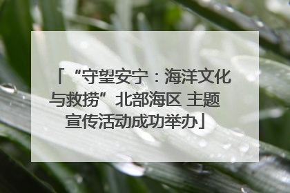 “守望安宁：海洋文化与救捞”北部海区 主题宣传活动成功举办