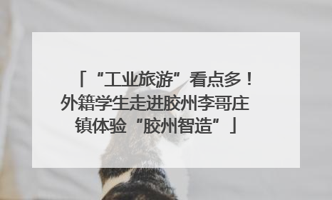“工业旅游”看点多！外籍学生走进胶州李哥庄镇体验“胶州智造”
