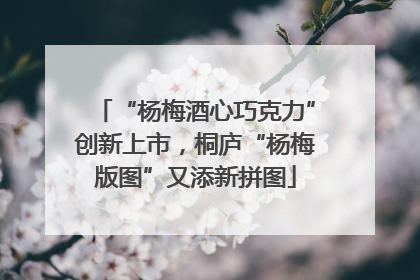“杨梅酒心巧克力”创新上市，桐庐“杨梅版图”又添新拼图