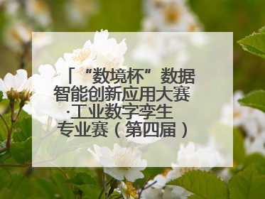 “数境杯”数据智能创新应用大赛·工业数字孪生 专业赛（第四届）全国总决赛及颁奖典礼成功举办