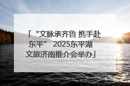 “文脉承齐鲁 携手赴东平” 2025东平湖文旅济南推介会举办