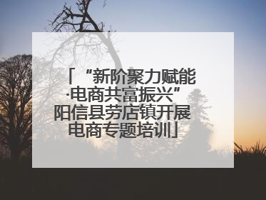 “新阶聚力赋能·电商共富振兴”阳信县劳店镇开展电商专题培训