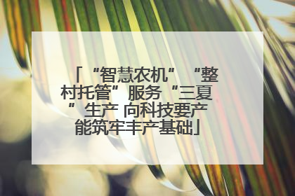 “智慧农机”“整村托管”服务“三夏”生产 向科技要产能筑牢丰产基础
