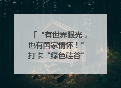 “有世界眼光，也有国家情怀！”打卡“绿色硅谷”，博主新解乐山｜网络名人四川行
