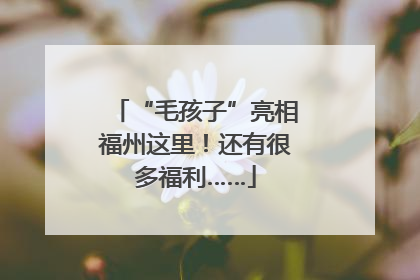“毛孩子”亮相福州这里！还有很多福利……