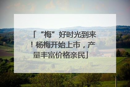 “梅”好时光到来！杨梅开始上市，产量丰富价格亲民