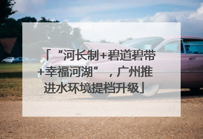 “河长制+碧道碧带+幸福河湖”，广州推进水环境提档升级