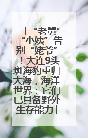 “老舅”“小姨”告别“姥爷”！大连9头斑海豹重归大海，海洋世界：它们已具备野外生存能力