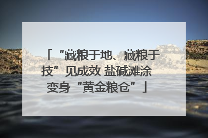 “藏粮于地、藏粮于技”见成效 盐碱滩涂变身“黄金粮仓”