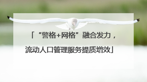 “警格+网格”融合发力，流动人口管理服务提质增效