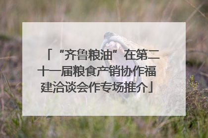 “齐鲁粮油”在第二十一届粮食产销协作福建洽谈会作专场推介