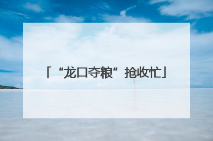 “龙口夺粮”抢收忙