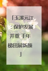 玉溪元江：保护发展并重 千年梯田展新颜