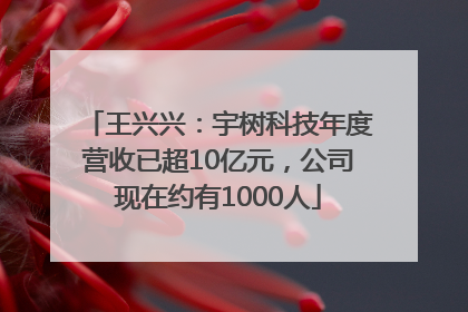 王兴兴：宇树科技年度营收已超10亿元，公司现在约有1000人