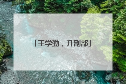 王学勤，升副部