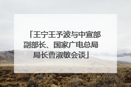 王宁王予波与中宣部副部长、国家广电总局局长曹淑敏会谈