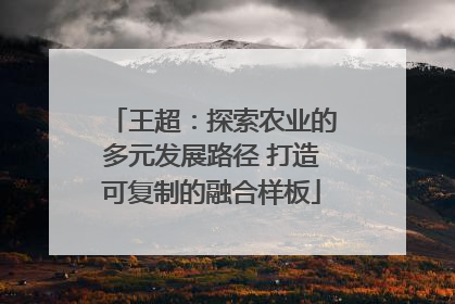 王超：探索农业的多元发展路径 打造可复制的融合样板