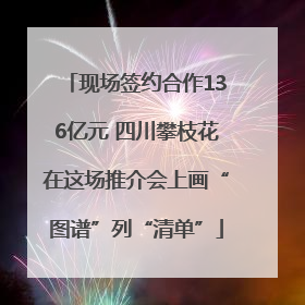 现场签约合作136亿元 四川攀枝花在这场推介会上画“图谱”列“清单”