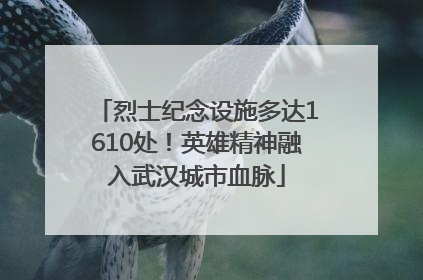 烈士纪念设施多达1610处！英雄精神融入武汉城市血脉