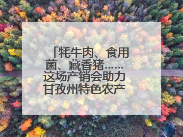 牦牛肉、食用菌、藏香猪……这场产销会助力甘孜州特色农产品走进成都