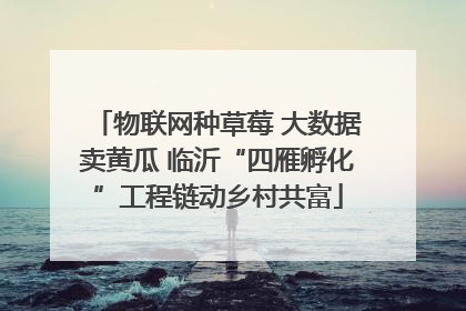 物联网种草莓 大数据卖黄瓜 临沂“四雁孵化”工程链动乡村共富