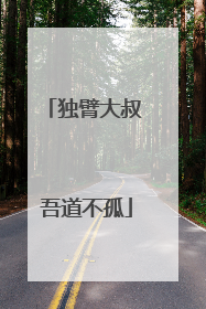 独臂大叔 吾道不孤