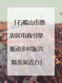 石嘴山市惠农区电商引擎驱动乡村振兴焕发新活力