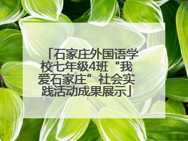 石家庄外国语学校七年级4班“我爱石家庄”社会实践活动成果展示