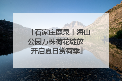 石家庄鹿泉丨海山公园万株荷花绽放 开启夏日赏荷季