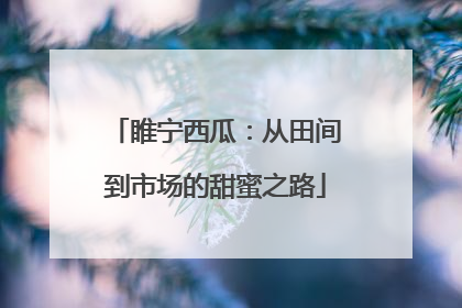 睢宁西瓜：从田间到市场的甜蜜之路
