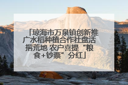 琼海市万泉镇创新推广水稻种植合作社盘活撂荒地 农户喜提“粮食+钞票”分红