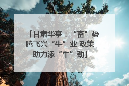 甘肃华亭：“畜”势腾飞兴“牛”业 政策助力添“牛”劲